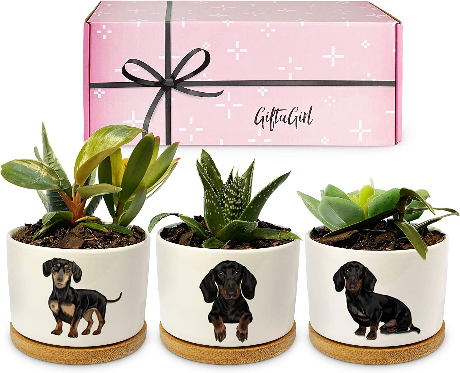 Dachshund Gifts for Women - Pretty Weiner Dog Gifts for Women, Decor Perfect for Any Occasion, Our Planter Pots Are Cute Daschund Wiener Gifts for Women and Arrive Beautifully Gift Boxed