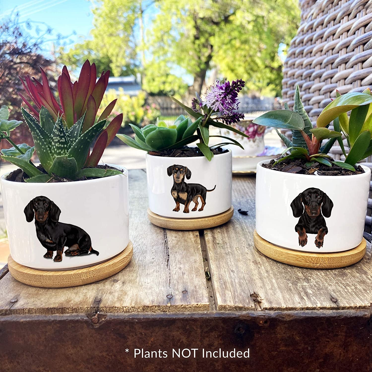 Dachshund Gifts for Women - Pretty Weiner Dog Gifts for Women, Decor Perfect for Any Occasion, Our Planter Pots Are Cute Daschund Wiener Gifts for Women and Arrive Beautifully Gift Boxed